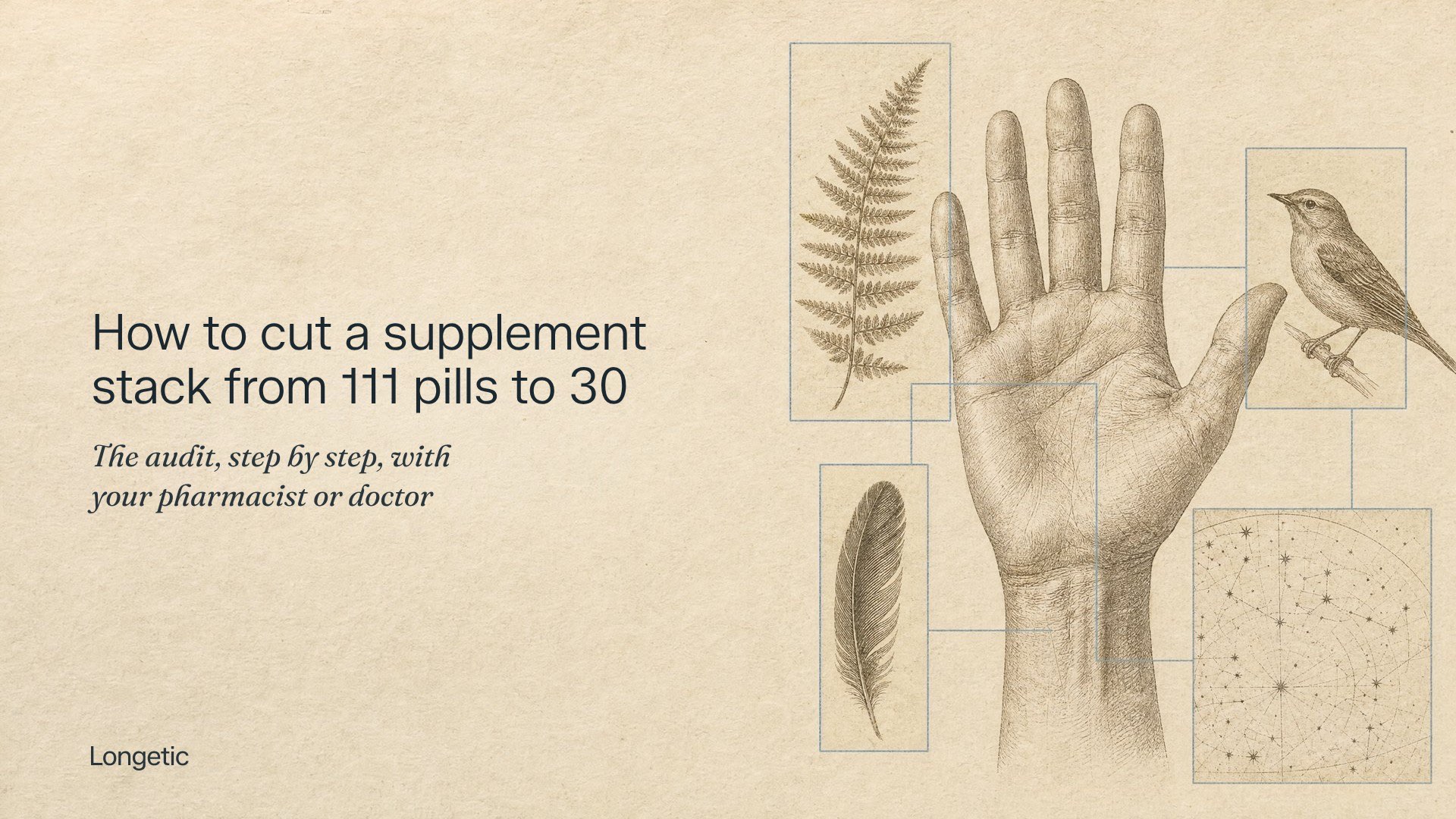Pencil drawing of an open hand framed by studies of a fern, a feather, a small bird and a star chart